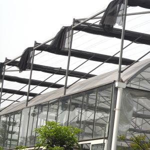 Buy cheap Dome Roof Structure Strong Plastic Greenhouse With Inside Shading System from wholesalers