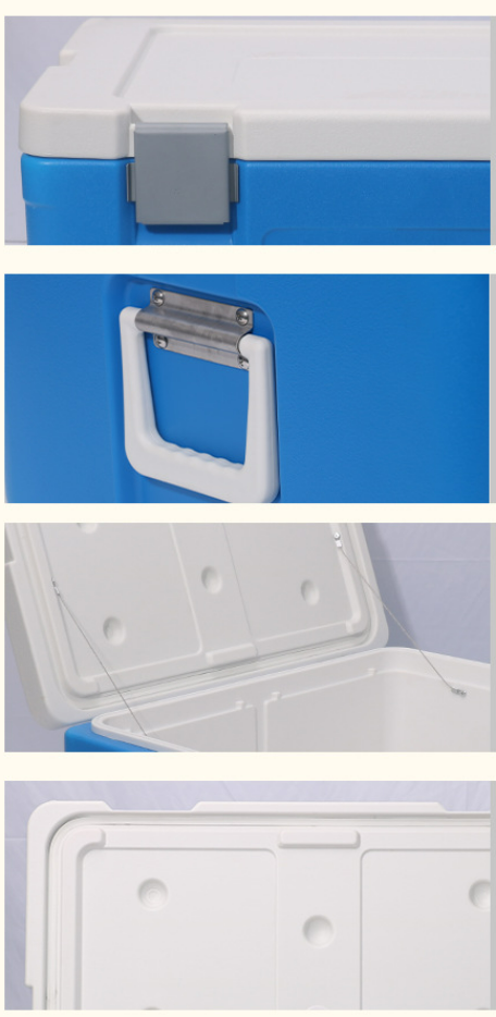 65L Capacity Ice Cooler Box with 535*410*300mm Internal Size and 655*495*3655mm