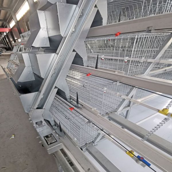 Quality One Day Old Baby Chick Cage With Full Automatic System for sale