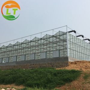 Buy cheap 8m Transparent Glass Solar Greenhouse For Efficiently Produce Tomatoes from wholesalers