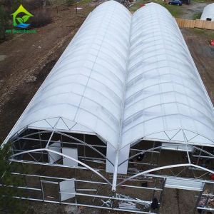 Buy cheap 100% Darkness Light Deprivation Greenhouse 0.5KNm2 Automated Blackout Greenhouse from wholesalers