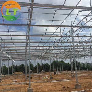 Buy cheap 8m Transparent Glass Solar Greenhouse For Efficiently Produce Tomatoes from wholesalers