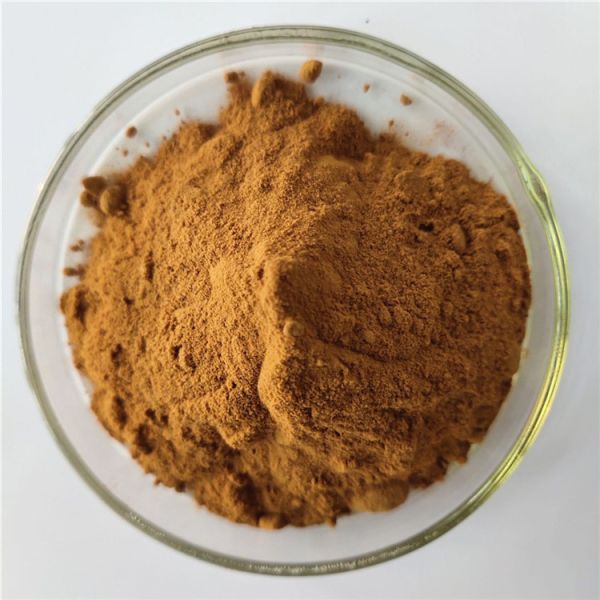 Quality Polypodium Barometz L.Extract/Polypodium Extract With Best Price for sale