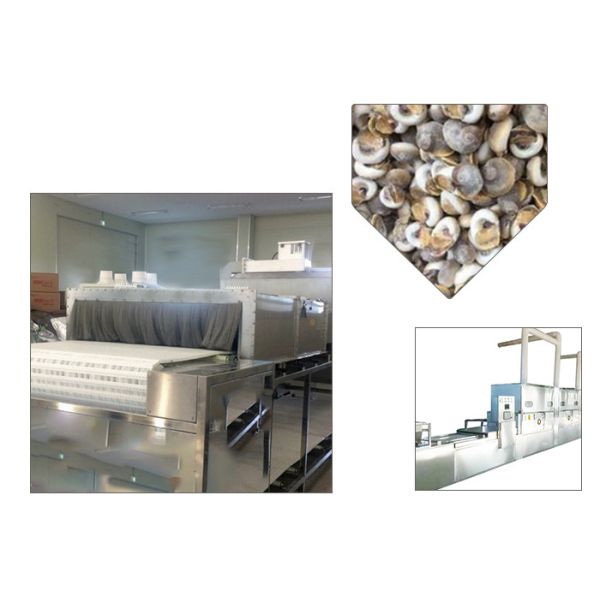 Buy cheap Soybean Belt Food Sterilization Equipment Tunnel Structure Stainless Steel Material from wholesalers