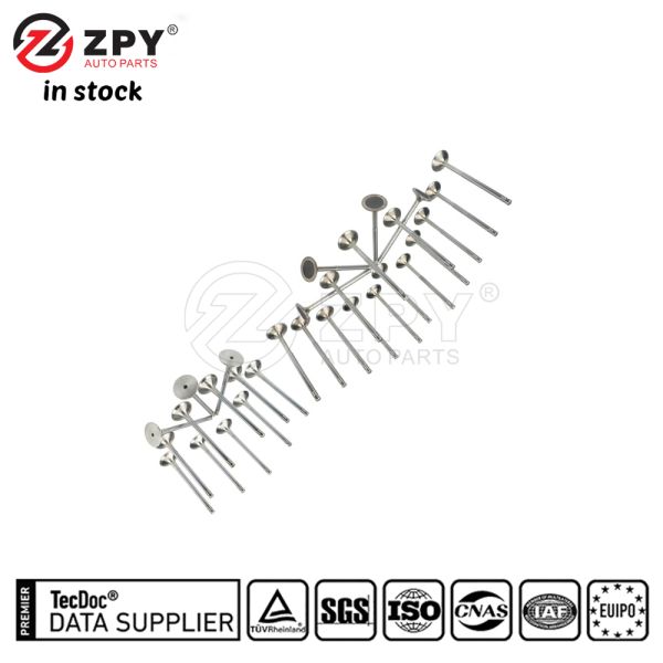 ZPY Intake Exhaust Valve Kit for VW Audi Passat Jetta A4 A6