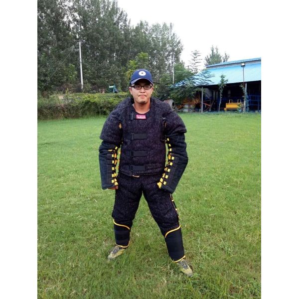 Quality 2019 new style hidden protection bite suit with removable bite sleevs for k9 dog for sale