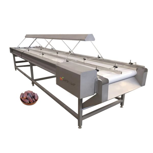 Plum Nuts Palm Dates Inspection Conveyor Made of 304 Stainless Steel for Your