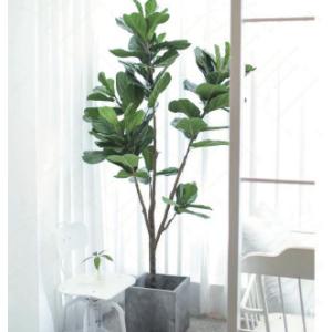 Buy cheap ODM 200cm Height Artificial Potted Floor Plants Fiddle Ficus from wholesalers