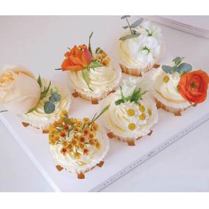 Custom new arrived birthday party baking supplies one-time used mini cupcake