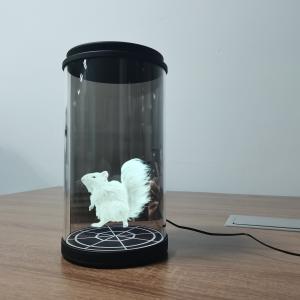 Buy cheap Holographic 3D Technology Display 5.5 10.1 21.5 Inch Hologram Cylinder With Ai Interactive from wholesalers