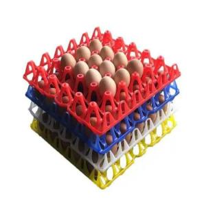 Automatic Chicken Egg Machine Plastic Egg Crate Making Machine