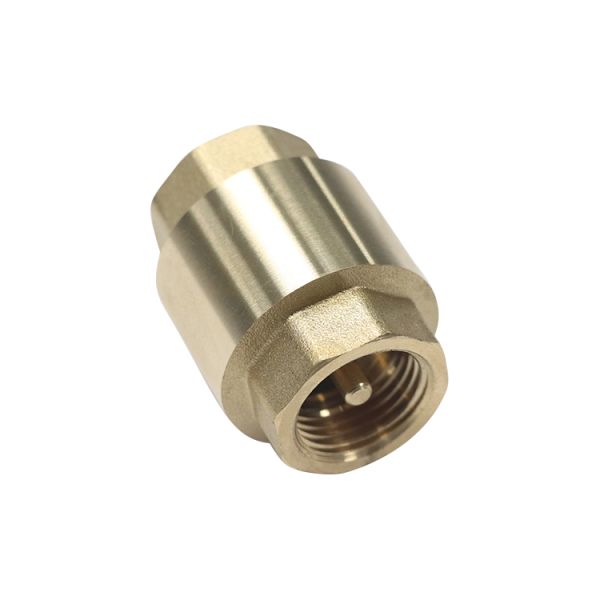 Forged Check Valve 1/4"-4" NPT / BSP Thread OEM Avaliable