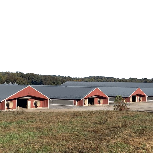 Buy cheap Lightweight Prefab Chicken House with 150mph Wind Resistance from wholesalers