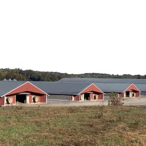 Buy cheap Lightweight Prefab Chicken House with 150mph Wind Resistance from wholesalers