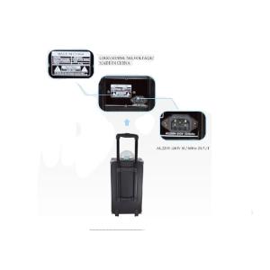 Remote Control Portable Trolley Speaker Power Bank Speaker With Handle