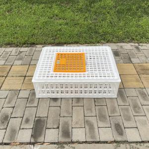 Buy cheap Lightweight Farm Hygiene Convenience Diy Chicken Transport Crates from wholesalers