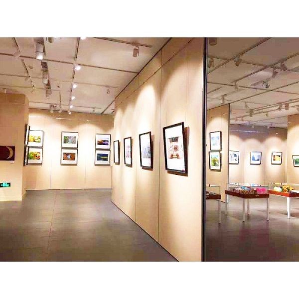 Floor to Ceiling Sliding Folding Room Partitions for Restaurant / Movable