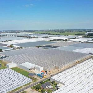 Buy cheap Cultivation Method Hydroponics Customized Glass Greenhouse for Cucumber Customization from wholesalers