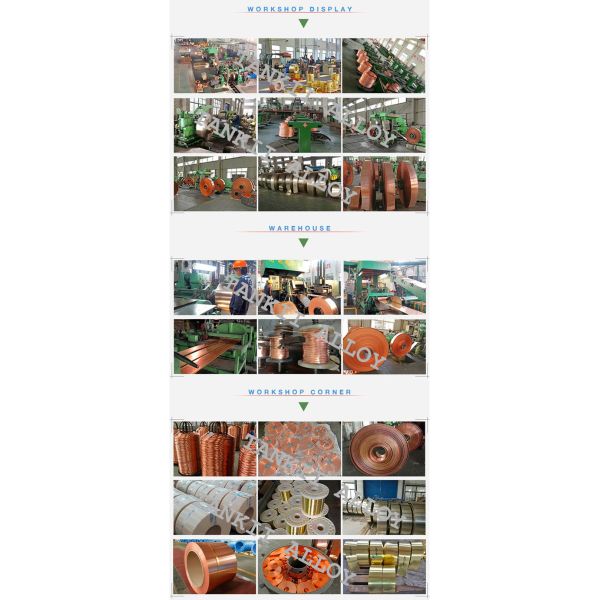 Cu Ni Alloy Wire/strip (CuNi1/CuNi2/CuNi5/CuNi6/CuNi8/CuNi10/CuNi14/CuNi19, CuNi23, CuNi34, CuNi40/CuNi44/CuNi45