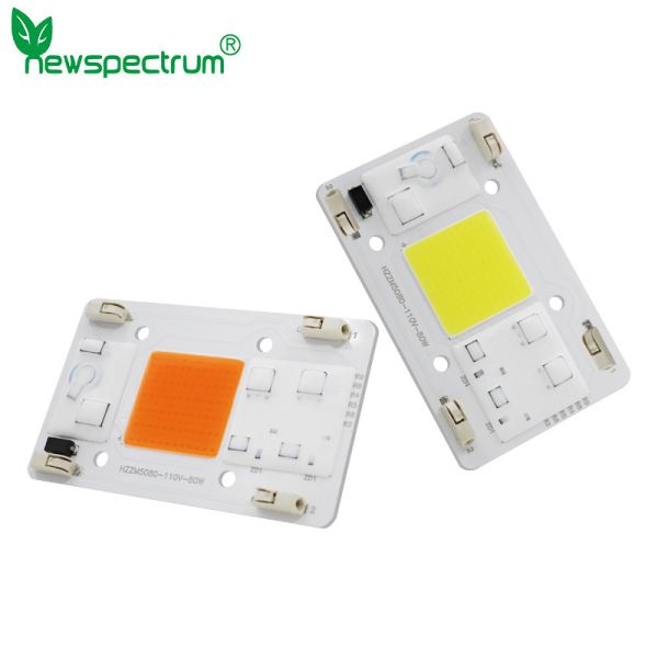 Buy cheap AC110V AC COB LED 80W Full Spectrum Without Soldering Terminal from wholesalers
