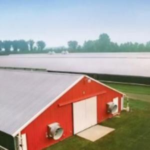 Buy cheap Customized Modern Steel Structure Chicken House Layer Cage For Chickens Poultry Farm from wholesalers