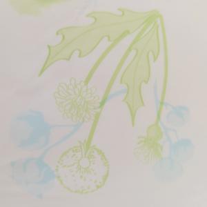 Breathable PE Backsheet film for Customizable Colorful Printing Diaper Raw