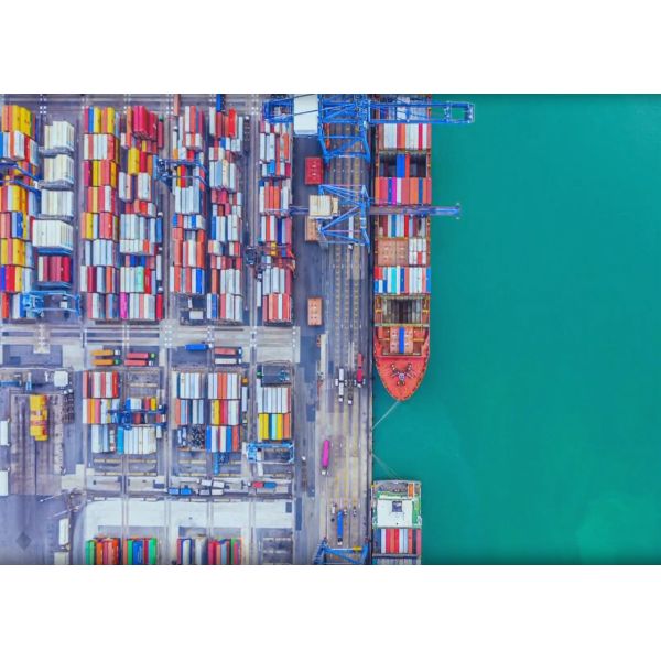 Quality Cargo Transportation DDP Sea Shipping Service With Customs Clearance for sale