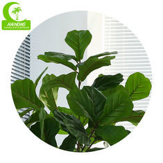Buy cheap Natural 120cm Height Pandurata Artificial Ficus Tree Landing Plant from wholesalers