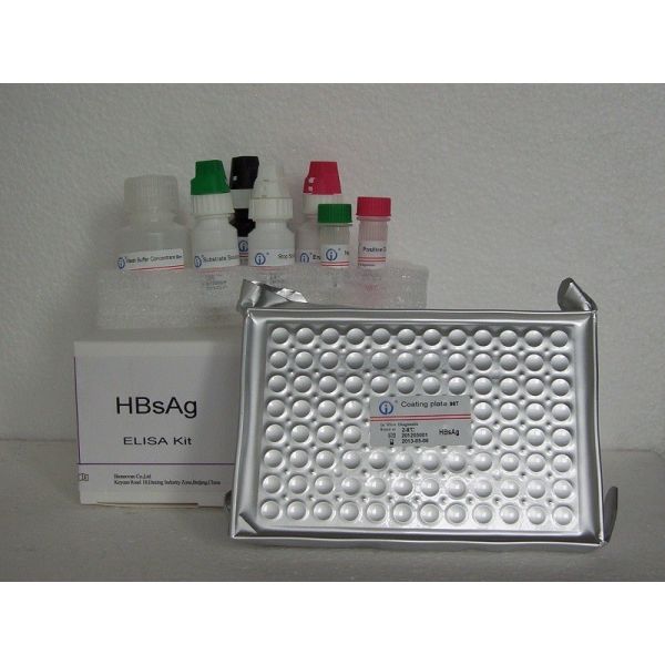Quality ELISA detection reagent kit High Accuracy HBsAg Elisa Test Kit for sale