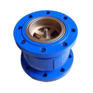 Buy cheap DN65 Cast Iron Silent Check Valve for Energy Saving in Water Media and OEM Port Size from wholesalers