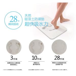Buy cheap Natural Diatomaceous Earth Bath Mat , Water Absorbing Bath Mat 450*350*9mm from wholesalers