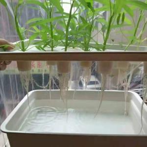 Buy cheap Customized Hydroponic Deep Water Culture System For Medical Plants from wholesalers