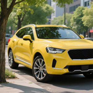 Buy cheap Waterproof Gloss Yellow Wrap OEM / ODM Lemon Yellow Wrap HYC1108 from wholesalers