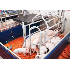 Buy cheap Fast Build Steel Structure Poultry Shed Construction Customized from wholesalers