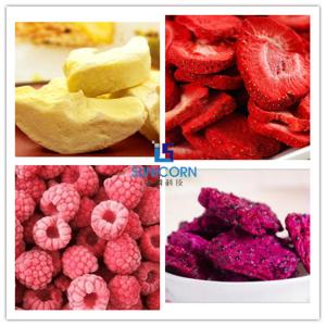 2Kg 3Kg 4Kg Low Noise Mini Freeze Dryer For Food Meat Herb Tea Leaf