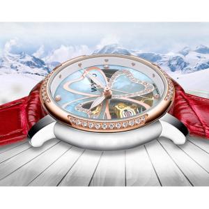 Seagull Movement 3ATM 5ATM Luxury Automatic Mechanical Watch