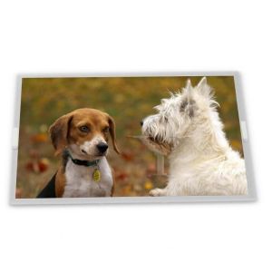 Buy cheap 8 Inch 800*480 A-Si TFT-LCD C080VW05 V1 High-quality  Lcd Panel Display in Stock from wholesalers