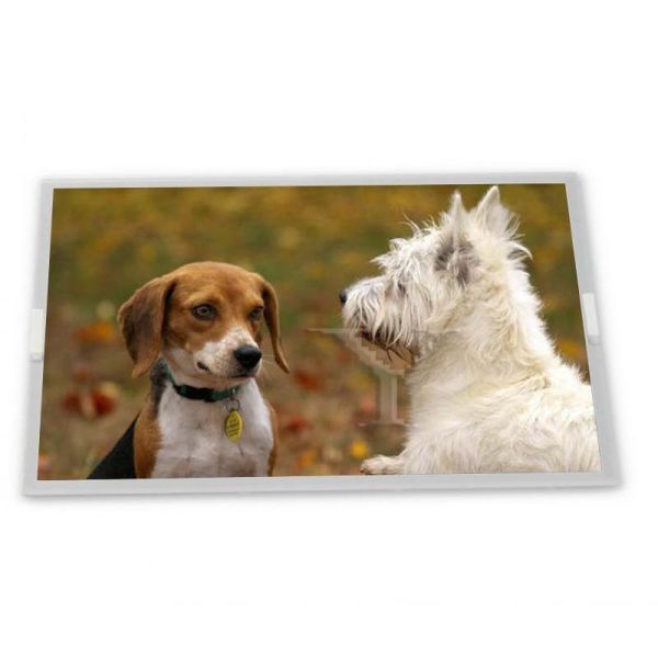 Quality One-Stop Online Shopping for High Quality 8 Inch LCD Modules 1024*768 A-Si TFT-LCD A080XTN01.4 for sale