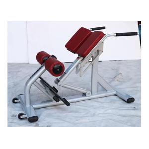 Buy cheap Pro Commercial Gym Rack Exercise Equipment Back Extension Bench from wholesalers