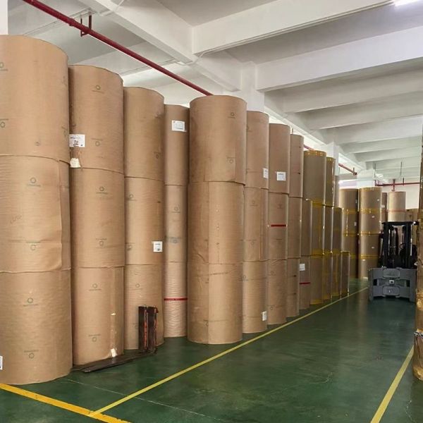 Quality 38cm*5000m Jumbo Roll parchment baking paper of Virgin Wood Pulp and 0.05mm Thickness for sale