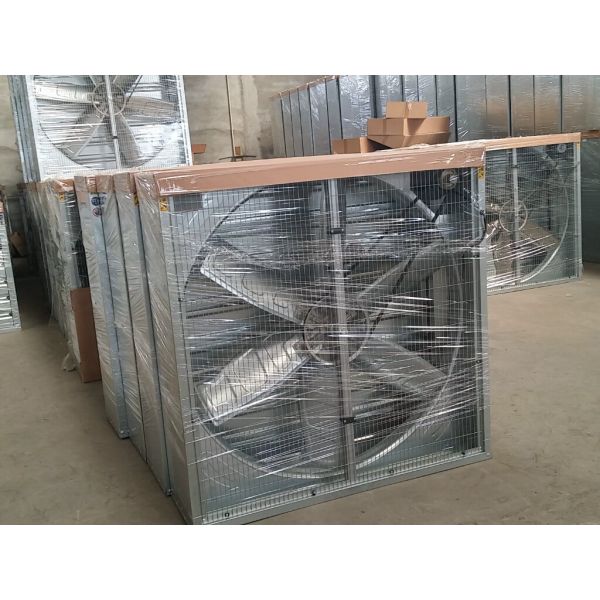 Quality Quạt thông gió gia cầm for sale