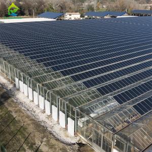 Buy cheap Modern intelligent Venlo polycarbonate panel multi-span solar photovoltaic greenhouse from wholesalers