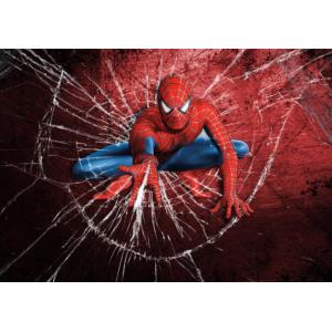 Buy cheap Digital printing roller blinds and fabric,roller shades, new design printed roller blinds,zebra roller blinds for window from wholesalers