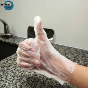 100% Biodegradable PLA PBAT Compostable Plastic Kitchen Disposable Gloves for