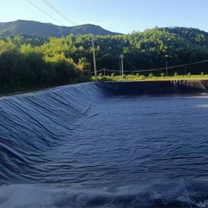 Buy cheap HDPE Plastic Waterproofing Anti-Seepage Geomembrane in Landfill Tailings Treatment from wholesalers