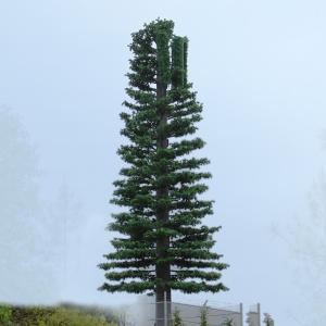 Buy cheap ChangTong Camouflaged Self Supporting Tv Antenna Towers from wholesalers