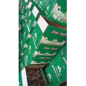 Buy cheap China fresh garlic export to Brazil By pioneer garlic group. 5.5-6.0cm loose packing carton box from wholesalers