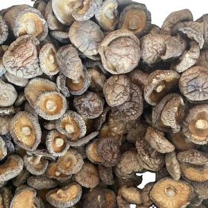Brown Lions Mane Mushroom Extract Dried Shiitake Mushroom 1kg/bag