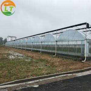 Buy cheap Customizable Size Multi-Span Agricultural Invernadero with Advanced Hydroponic System from wholesalers