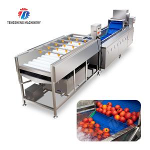 Buy cheap Vegetable and fruit brush and washing production line Fruit Vegetable FOOD processing production Machine from wholesalers